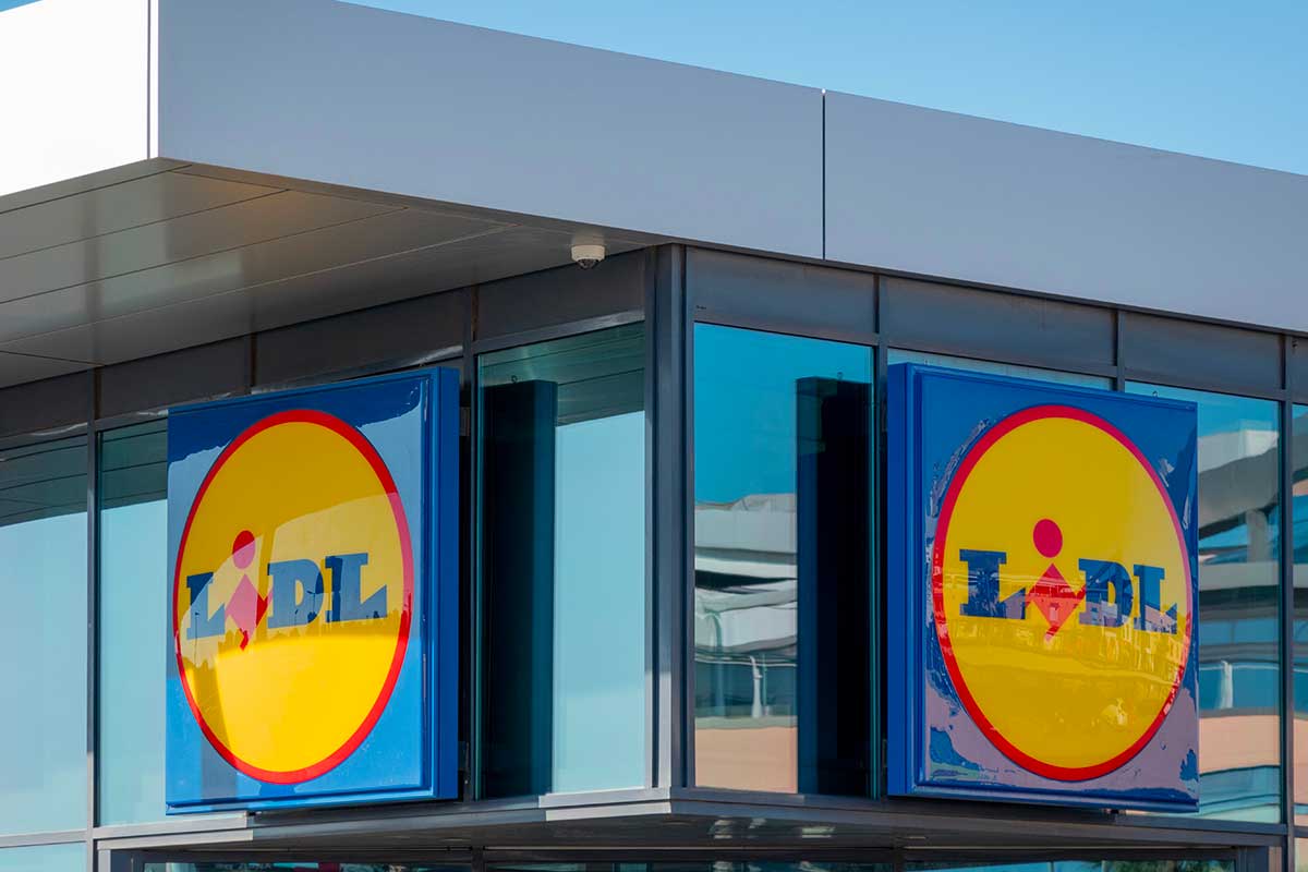 Lidl racconta il Natale con fiori e piante: le varietà più belle di questa settimana