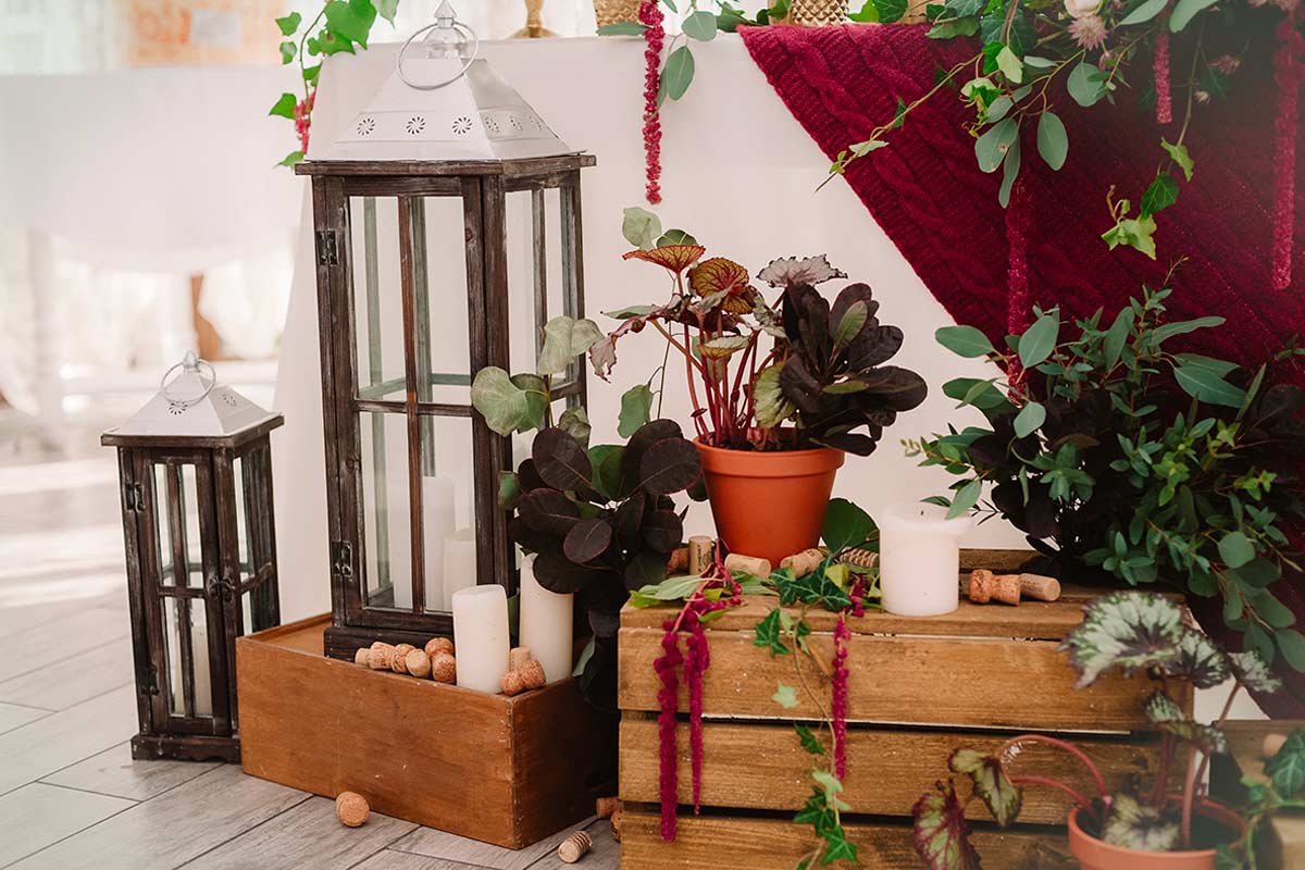Vecchie cassette di legno e lanterne vintage trasformate in angolo verde, con piante in vaso, candele bianche e tappi di sughero, in un ambiente domestico caldo e creativo.